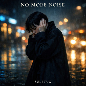 NO MORE NOISE