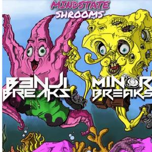 Shrooms (feat. B3nji Breaks)