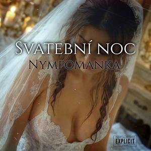 SVATEBNÍ NOC (sprostá písnička)