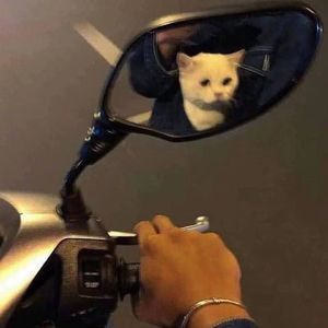 【FREE】‘轮回’ Guitar Type Beat