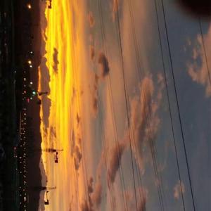 爱情和生活，你选一个？