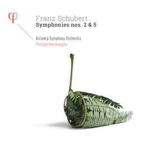 Symphony No. 5 in B-Flat Major, D. 485: III. Menuet (Allegro molto)