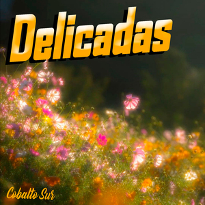 Delicadas