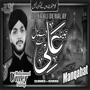 Jeena Ali De Nal Ay Lofi Version