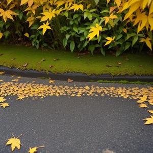 秋意初临