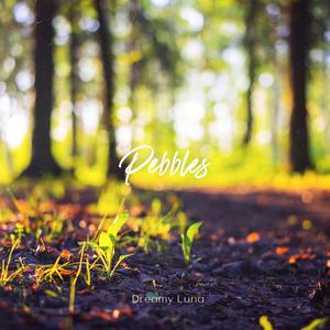 Pebbles