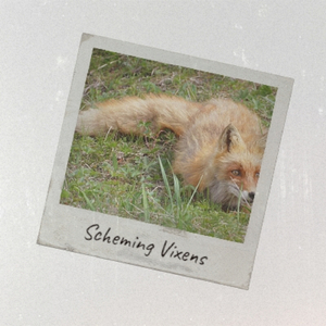 In The Kitchen Playing With Salt And Rice Master