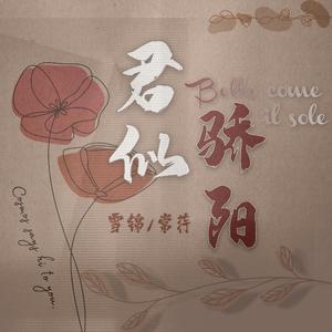 君似骄阳（意语版）