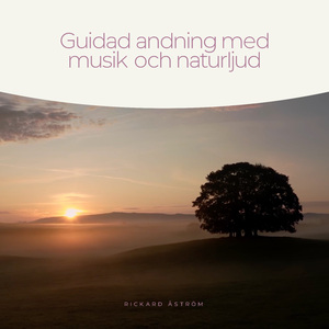 Strand: Guidad Andning för att grunda sig med naturen