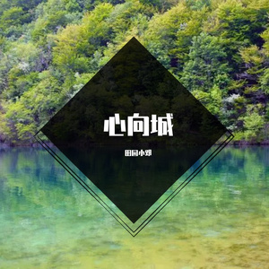 心向城 (9)