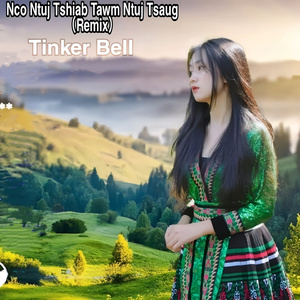 nco ntuj tshiab tawm ntuj tshaug (Remix)