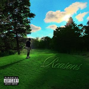 Reasons