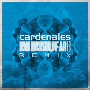 Nenúfares (Quazares Remix)