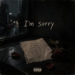 IM SORRY