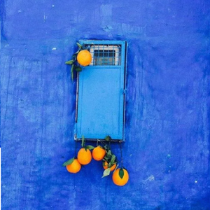 已售罄【FREE】水