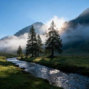 我会慢慢忘掉 (Cover 小邹)