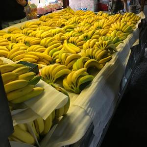 这只伶俐的棕色狐狸跳过一只懒惰的狗