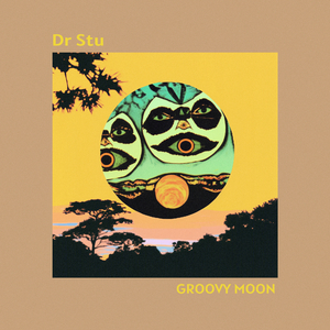 Groovy Moon
