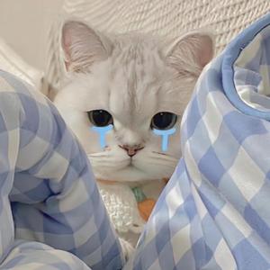 呜呜呜