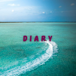 Diary