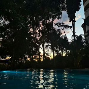 Wonderful Tonight