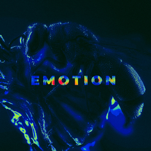 EMOTION