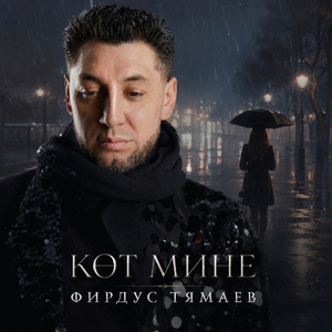 Кот мине