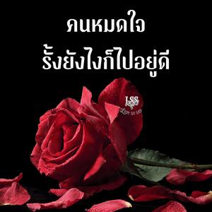 คนหมดใจ รั้งยังไงก็ไปอยู่ดี