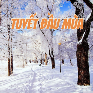 Tuyết Đầu Mùa