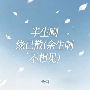 半生啊 缘已散(余生啊 不相见)