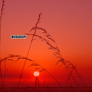 BIGODIN