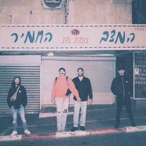 ביטוח ישיר סקיט