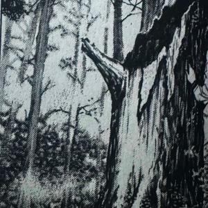 Untitled (Demo)