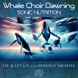 Whale Choir Dawning Sonic Nutrition (feat. Mahalia Michael)