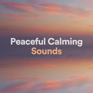 Rejuvenescent Sounds