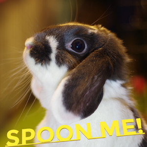 ぎゅっとして (feat. 和蘭芹)