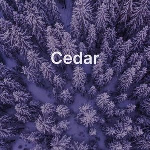 下一个天亮_磬晴