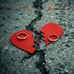 You're Not The One (feat. Landon)