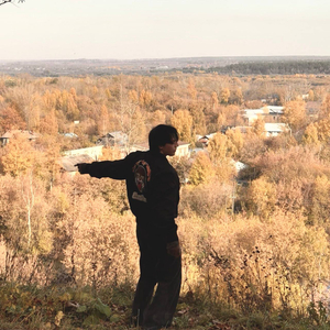 Аркадиа бэй