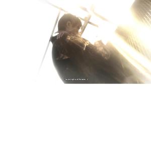 day and night is all the same