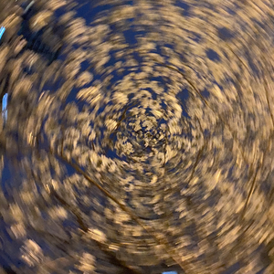 来来来一起跳舞吧.wav