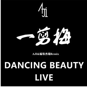 费玉清-一剪梅（AJI&编导杰瑞 Bootleg）（AJI / 编导杰瑞 remix）