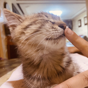 《我看见你了》2