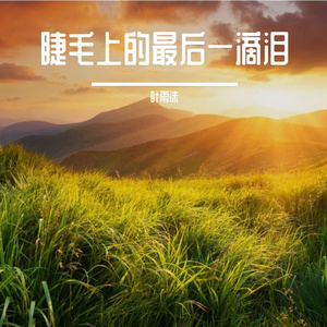 候鸟迷失的归途