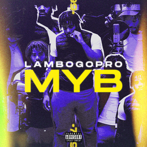 MYB