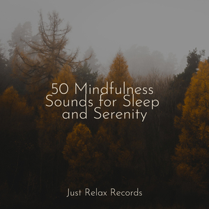 Lost in Lonely Melodies