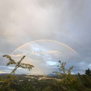 仙山贡水年味谣