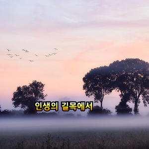 인생의 길목에서