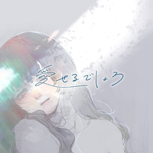 愛せるでしょう