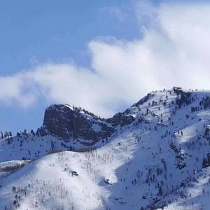 过活（翻自 高鱼）